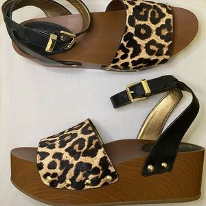 Sam Edelman 2.5 inch platform leopard print sandals  size 9.5